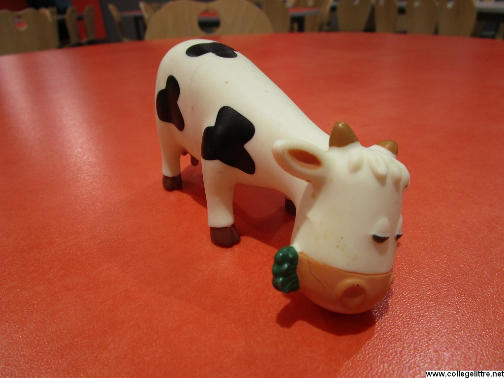 06 07 2016 006 06 07 2016 006