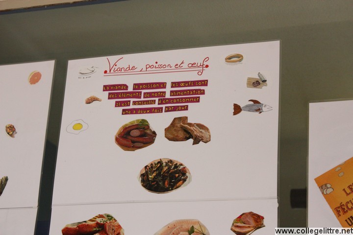 Photo 014.jpg Photo 014.jpg