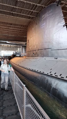 Géants des mers et des airs