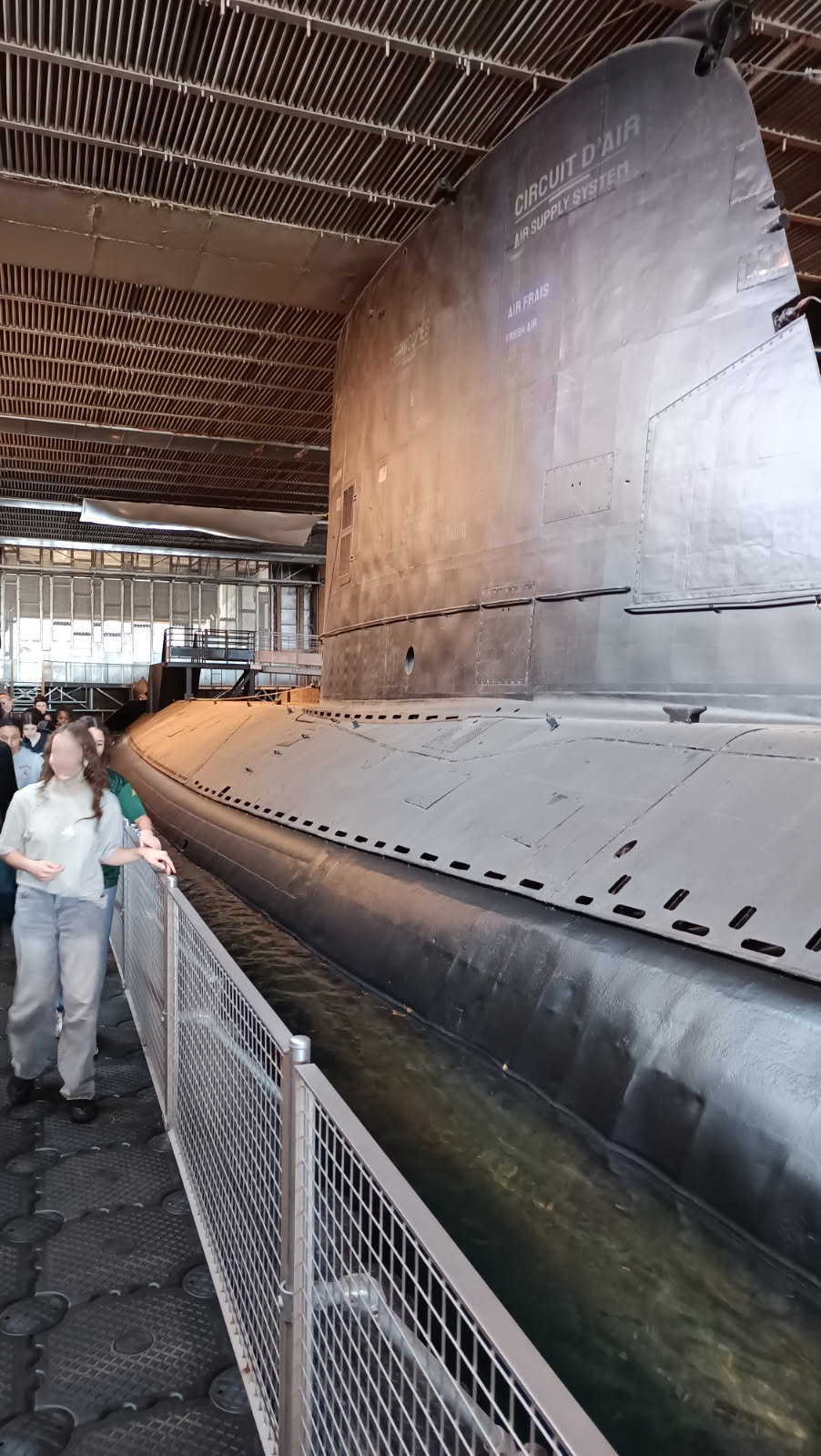 Géants des mers et des airs